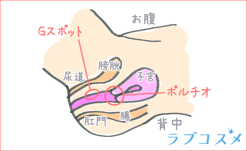 セックスの挿入方法と腰の動かし方(振り方)のコツ - 夜の保健室