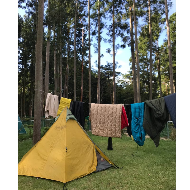 GOLITE ゴーライト シャングリラ3