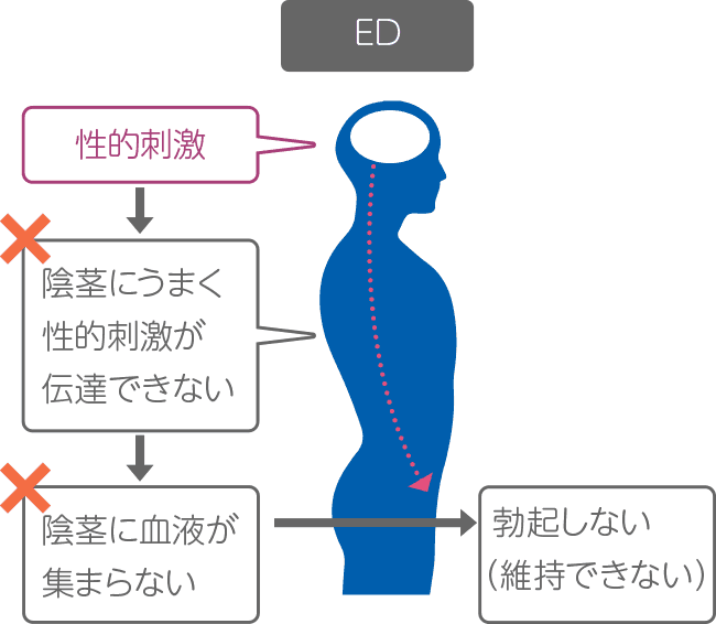 オナニー禁止とポルノ禁止の影響と解決策 - Genspark