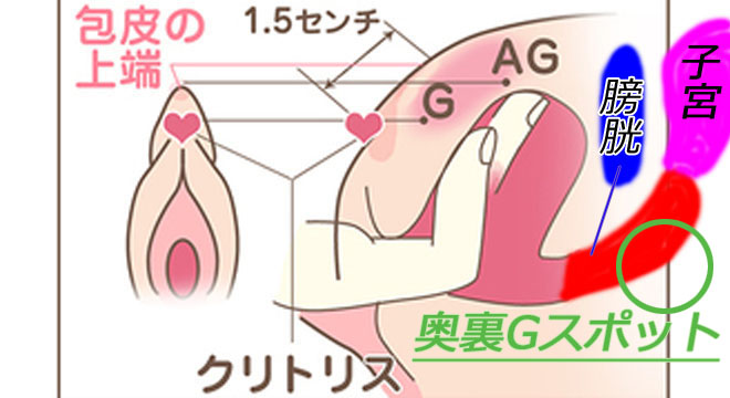 Gスポットを開発してイク方法を徹底解説！感じない女性でもイケるバイブでの刺激の仕方【快感スタイル】