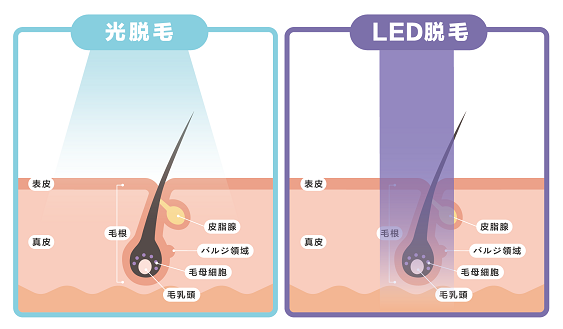 サービス案内 | 中野 メンズ