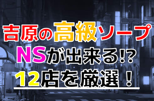 吉原高級ソープ】おすすめランキング10選。NN/NS可能な人気店の口コミ＆総額は？ | メンズエログ