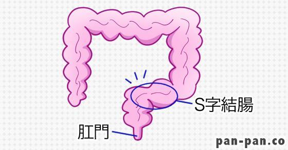 アナルSEX】銀行受付嬢が巨大グレープボムを直腸収納！S字結腸イキがすごかった【個撮】 | アダルト動画・画像のコンテンツマーケット