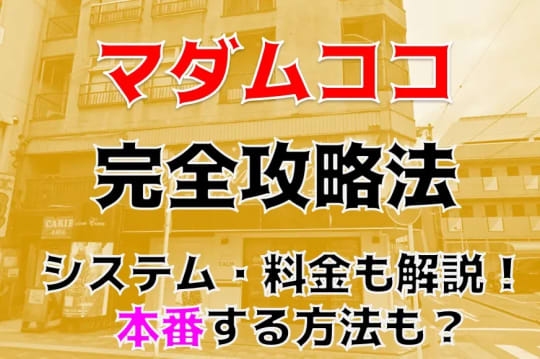 厚木で本番できる裏風俗6選！立ちんぼ・ヘルス・ピンサロの基盤情報を調査！【NN/NS体験談】 | Trip-Partner[トリップパートナー]