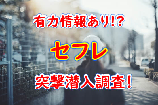 新潟県でセフレを作る最適解を公開！セフレと行きたいホテルも紹介