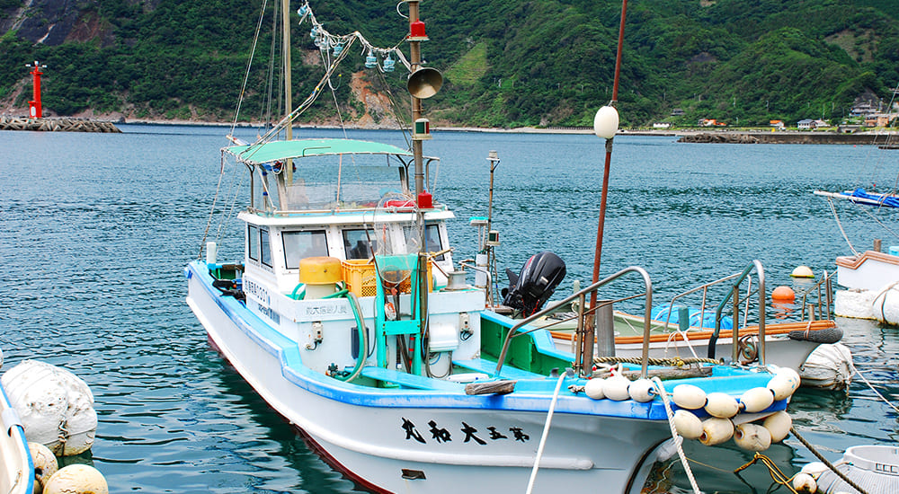 小浜ならではの「釣り体験」NEST INN OBAMA