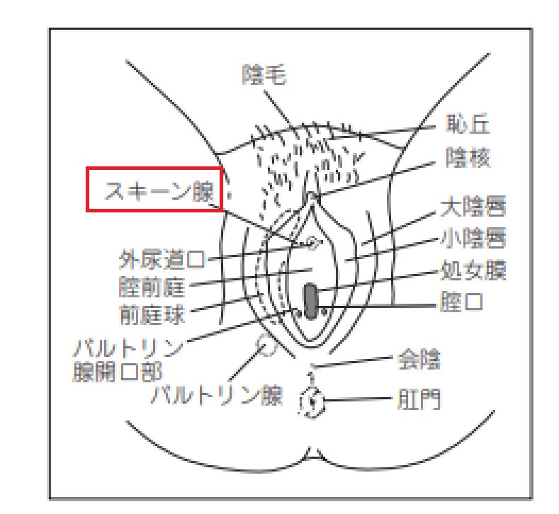 女性の潮吹きのやり方って？一人でできる練習方法やコツを解説します｜ココミル