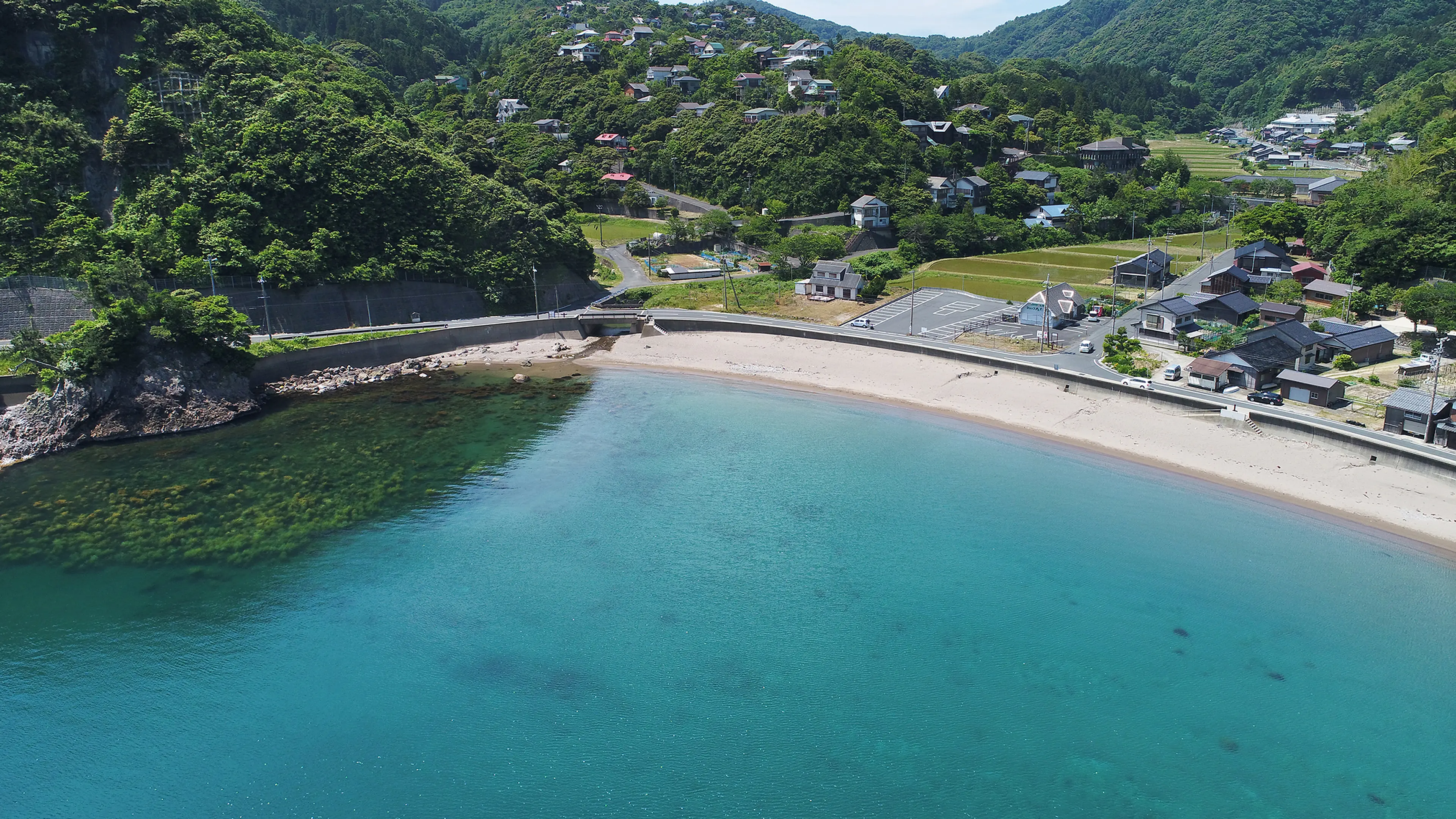 泊海水浴場 東京の観光公式サイトGO TOKYO