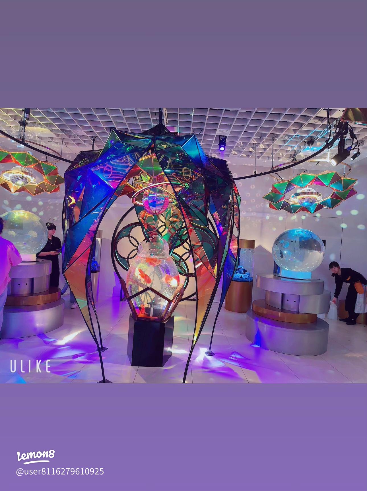 宇宙を旅する水族館「UNDER WATER SPACE」Chloris クロリス