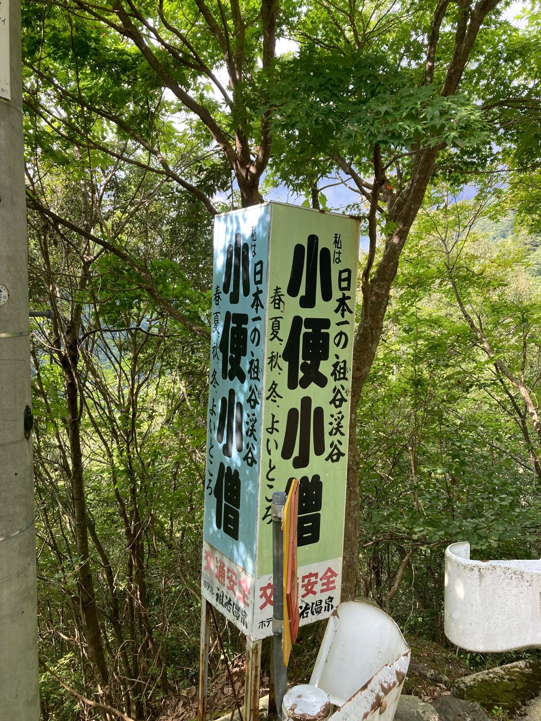 祖谷温泉 ケーブルカーでいく渓谷露天風呂！四国で唯一日本秘湯を守る会所属宿 豪華会席料理 専用デッキ付きの客室で贅沢夫婦旅♪ 和の宿ホテル祖谷温泉