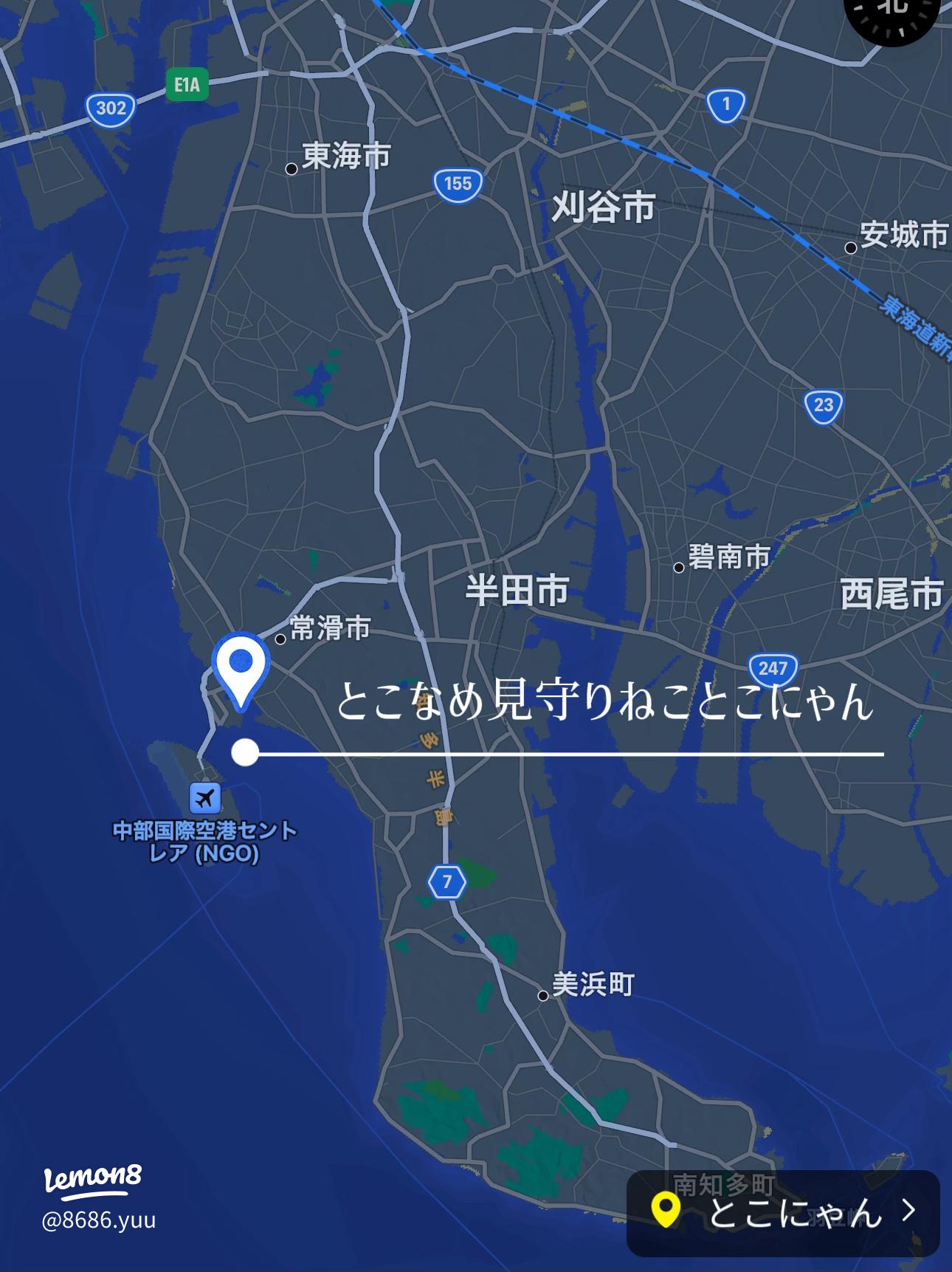 とこなめ見守り猫 とこにゃん招き猫通りクチコミ・アクセス・営業時間常滑・セントレア 中部国際空港フォートラベル