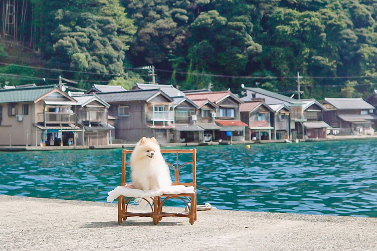 伊根の舟屋オススメ撮影ポイント５選│伊根たび