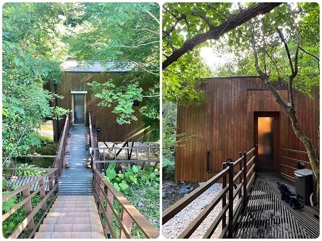 ツリーフル ツリーハウス サステイナブル リゾート沖縄ホテル- LIVE