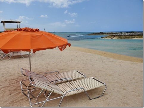 海の家仕様 業務用ビーチパラソル Lｻｲｽﾞ・12本骨・ﾎﾟﾘｴｽﾃﾙ＜