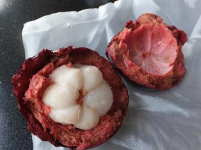 パンダンリーフ パンダナス ランペ」スパイス＆ハーブ 10g 料理やドリンクの風味付けに。全国送料無料でポスティング。Pay