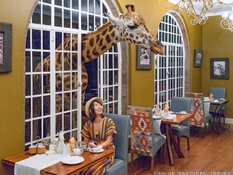 ケニア ジラフマナー宿泊記地球の歩き方