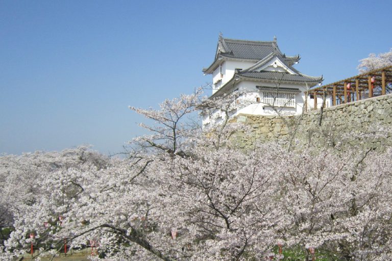 新年度始まりました。 : 津山第一病院