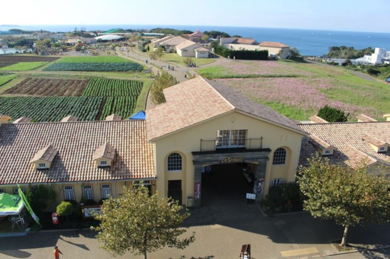 写真で見る巻頭ルポ 三浦半島でテント泊旅ランドネ５月号「小さな山でテント泊はじめました」ランドネ