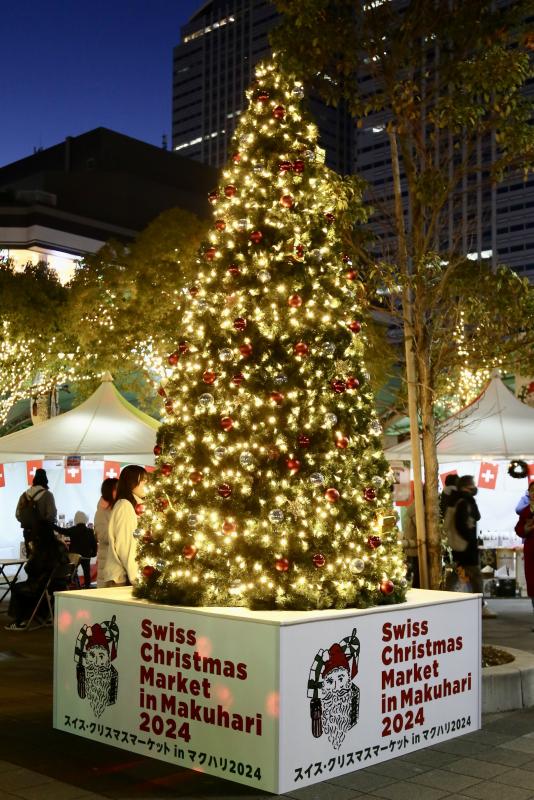 2025年 コルマールColmarのクリスマスマーケット開催日程まとめ幻想的なイルミネーションに包まれる冬の街Les Falaisesde Grès