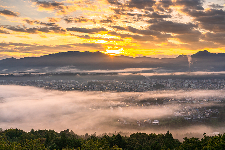 本庄 マリーゴールドの丘 関越道をひたすら走らせて本庄児玉ICで降りてからすぐ。 遠くからでもイルミネーションが見えて、ワクワク感が高まります。埼玉 の冬の思い出フォトコンテスト本庄本庄市マリーゴールドの丘公園マリーゴールドFUJIFILMFUJIFILMXT20