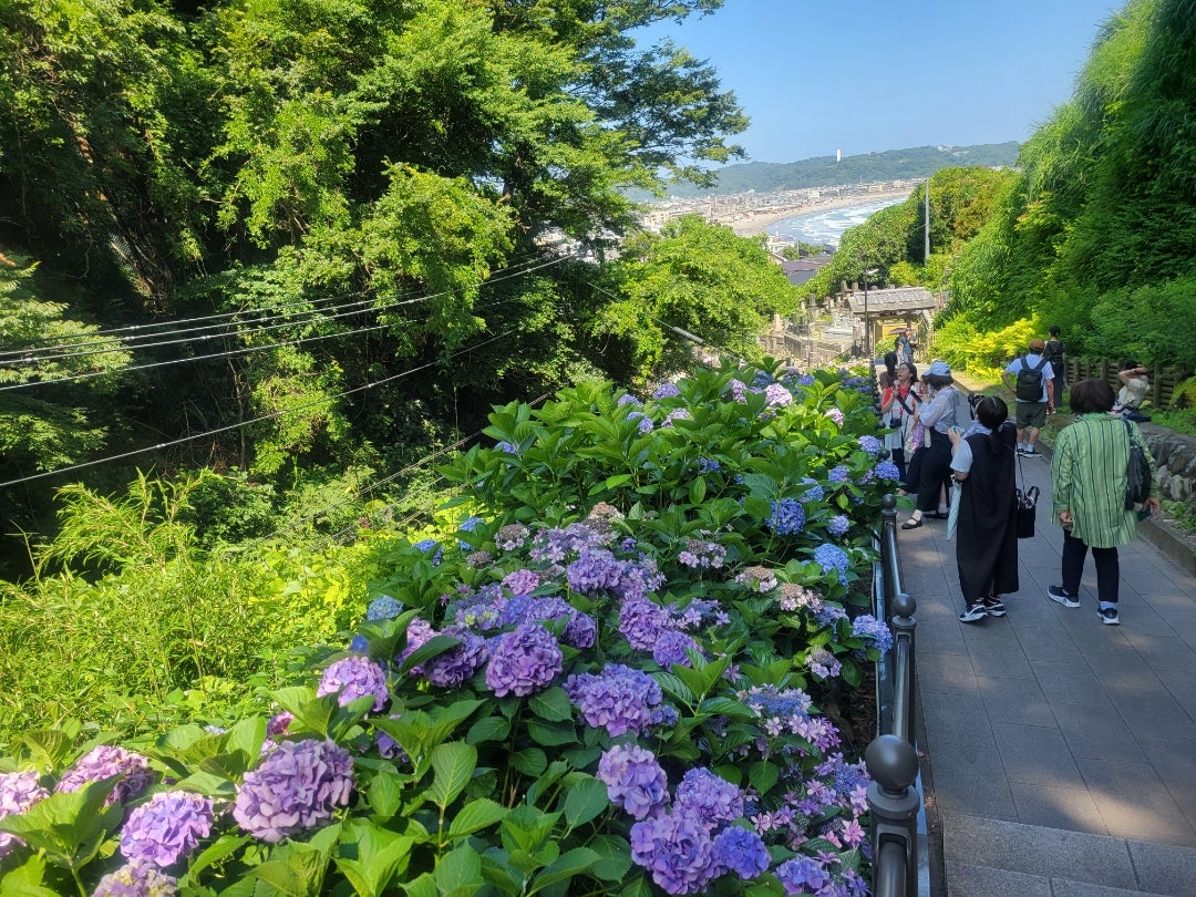 鎌倉で一人旅 おすすめ観光スポットを紹介