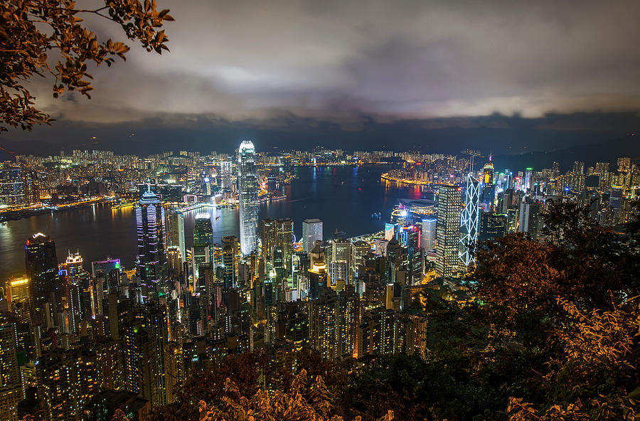 クジラ夜の街Sony Music Artists