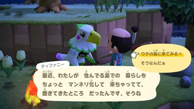 あつ森 離島ツアーの種類一覧レア島の行き方 あつまれどうぶつの森 ゲームエイト