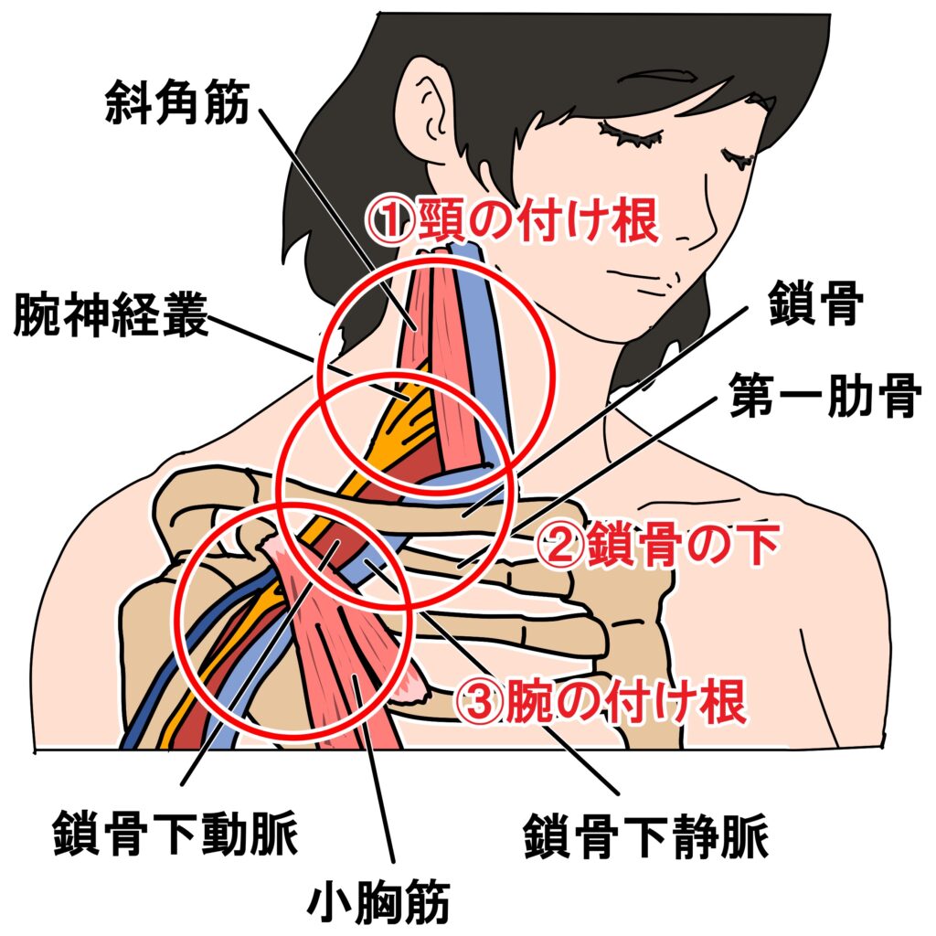 首ポキ解消法の真相｜首を鳴らす施術やポキポキ鳴らす行為の危険性。脳卒中や死亡リスクとの関連性。 | 肩こりや首 こりの解消と改善なら鍼灸マッサージ院の肩こりラボ｜学芸大学徒歩1分