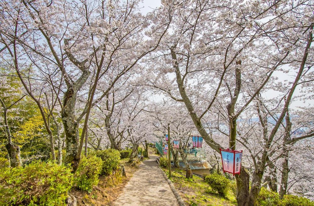 正福寺山公園 アクセス・営業時間・料金情報 - じゃらんnet