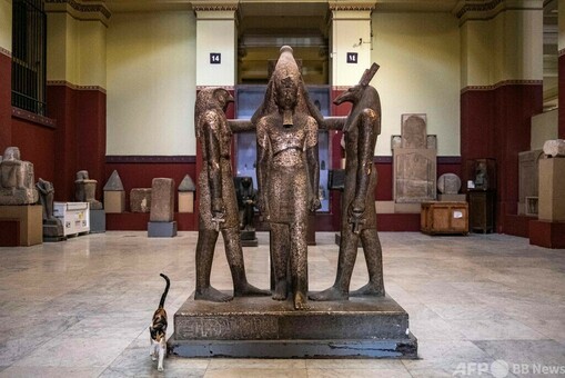 2024年6月 エジプト考古学博物館の行き方や料金、チケット購入方法を紹介！まだツタンカーメンの黄金のマスクは大博物館に移転前！えんぺらーたまりんの旅ログ