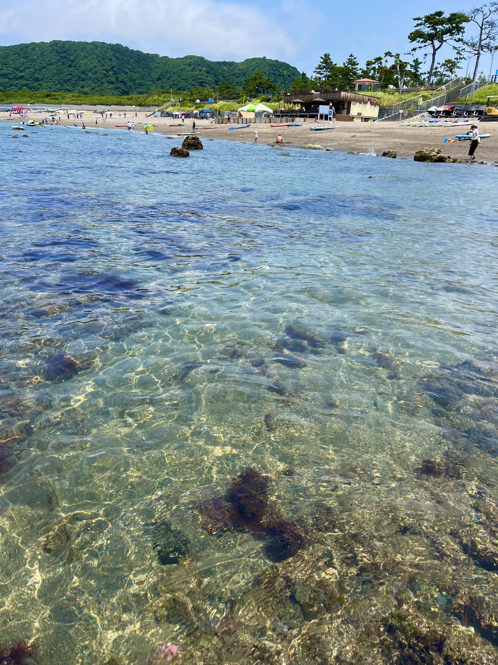 真名瀬海岸の魅力と楽しみ方2025 年のリアルなLemon8ユーザー体験