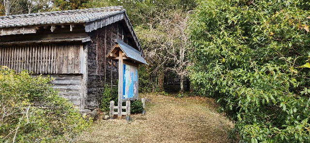 2025年 土井竹林 - 出発前に知っておくべきことすべて