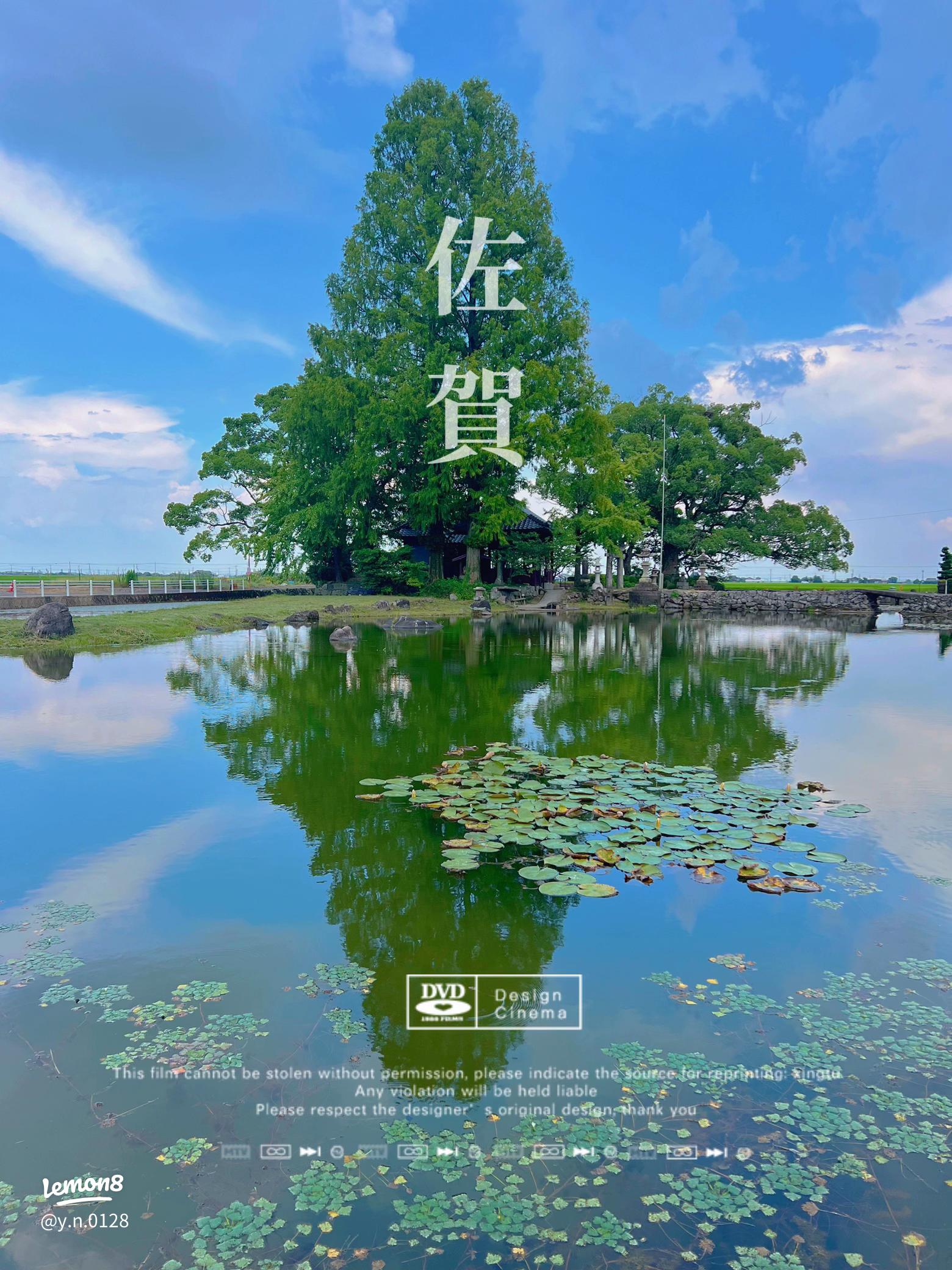 佐賀の隠れ映えスポット「縫ノ池」を訪れよう🌊