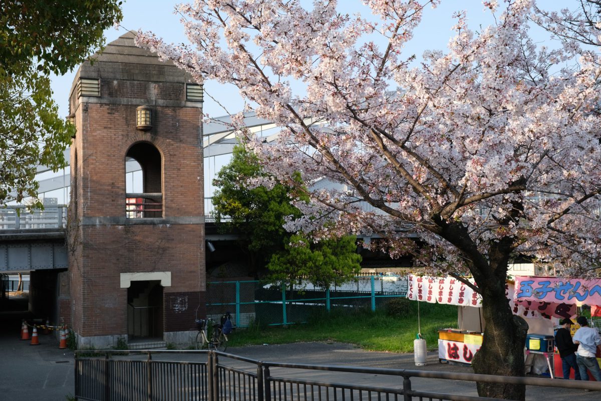 1日停めても最大料金あるので安い！ 大阪造幣局の桜の通り抜けの基本情報と周辺で近くて安いおすすめ駐車場安いおすすめ駐車場