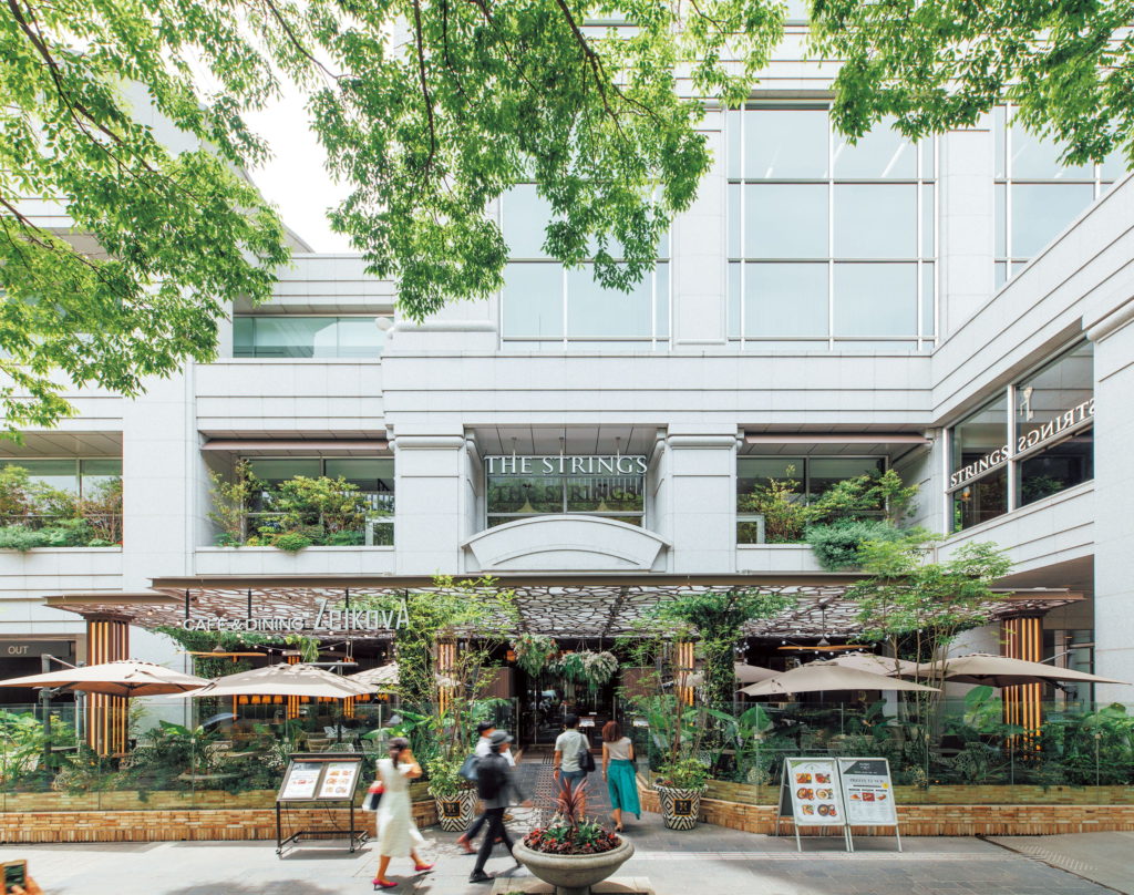 カフェ＆ダイニング ゼルコヴァ ザ・ストリングス 表参道 -原宿・表参道・青山