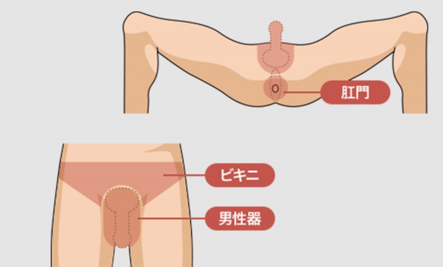 メンズコレクション | ◉カラダから毛がなくなる喜び ㅤ VIOまで整えて