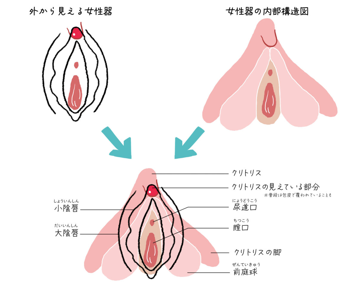 夜の経験増やしたいなら, 一旦フォローしときな, #恋愛 #恋愛心理学 #マッチングアプリ