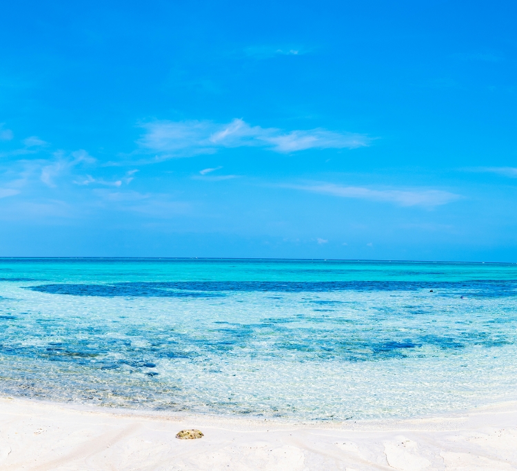 愛知県の絶景宿10選。非日常の綺麗な景色をひとりじめ！楽天トラベル