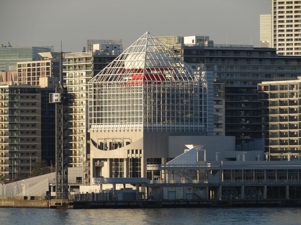 初冬の晴海：東京港晴海客船ターミナルの散策 １- 緑の、東京ブログ