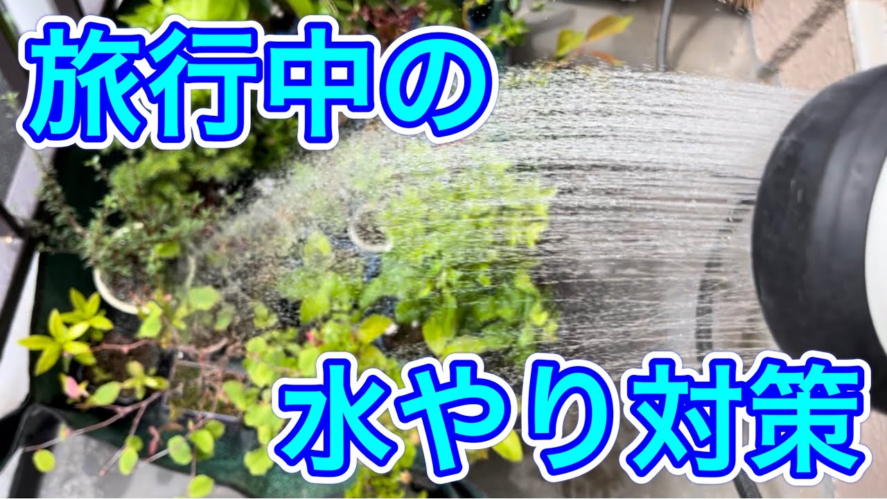 旅行中でも安心！観葉植物が枯れないレチューザの底面給水プランタ