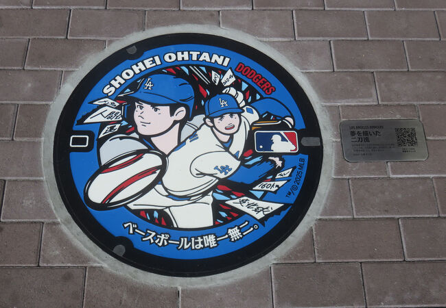 ＪＲ東北新幹線水沢江刺駅 ホームメイト