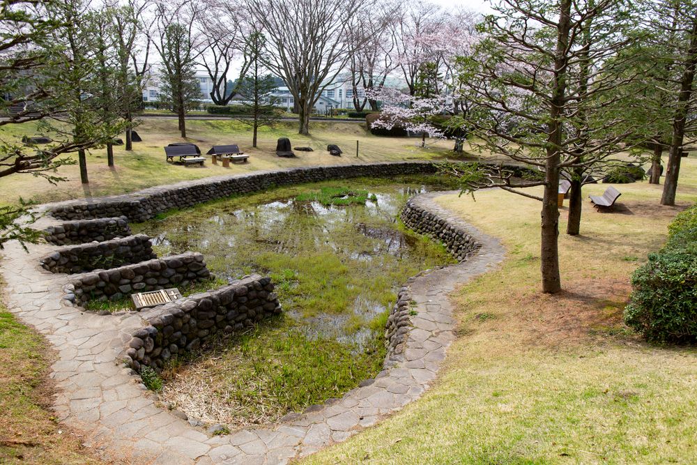 青柳公園公益財団法人 水戸市スポーツ振興協会 公式ホームページ