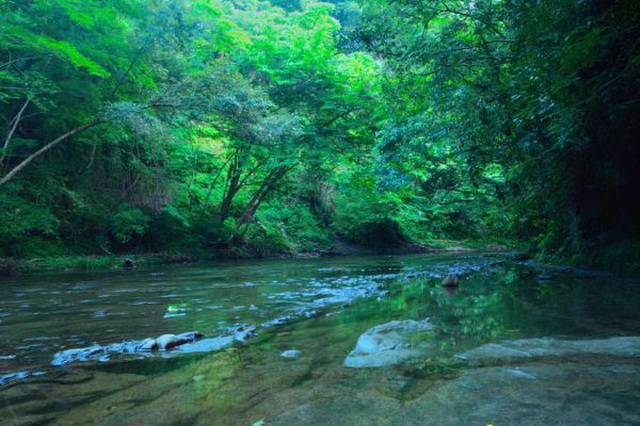 濃溝の滝 亀岩の洞窟 ハート型の光とホタルの撮影時期房総タウン.com