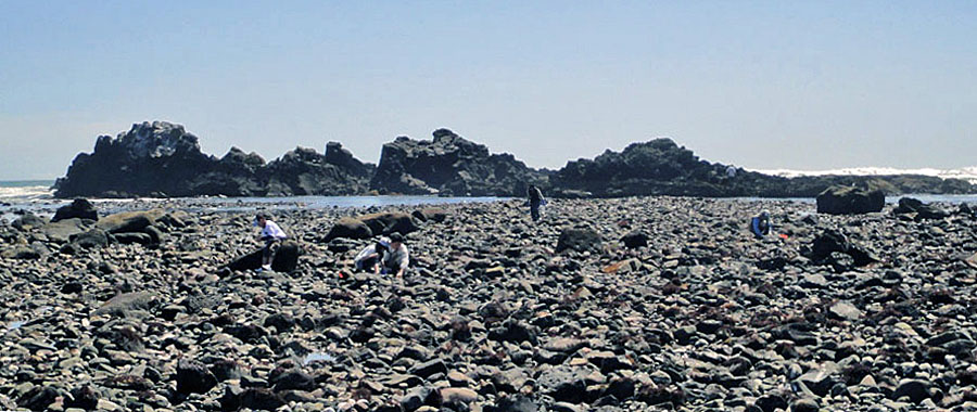 犬吠埼観光ホテル : 犬観ブログ公式ページ