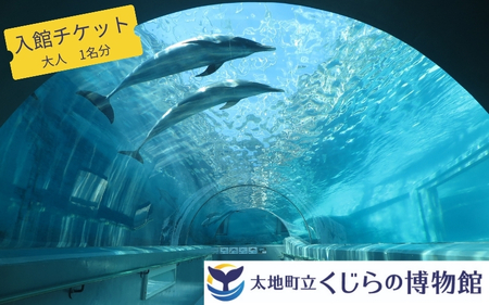 太地町立くじらの博物館 料金やクーポン、所要時間をご紹介