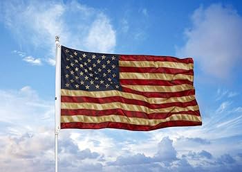 アメリカ国旗のイラスト素材・ベクター Image 14306315