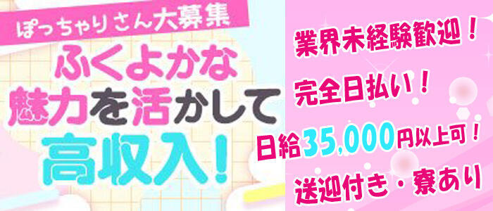 岐阜市内・岐南のぽっちゃり系デリヘルランキング｜駅ちか！人気ランキング