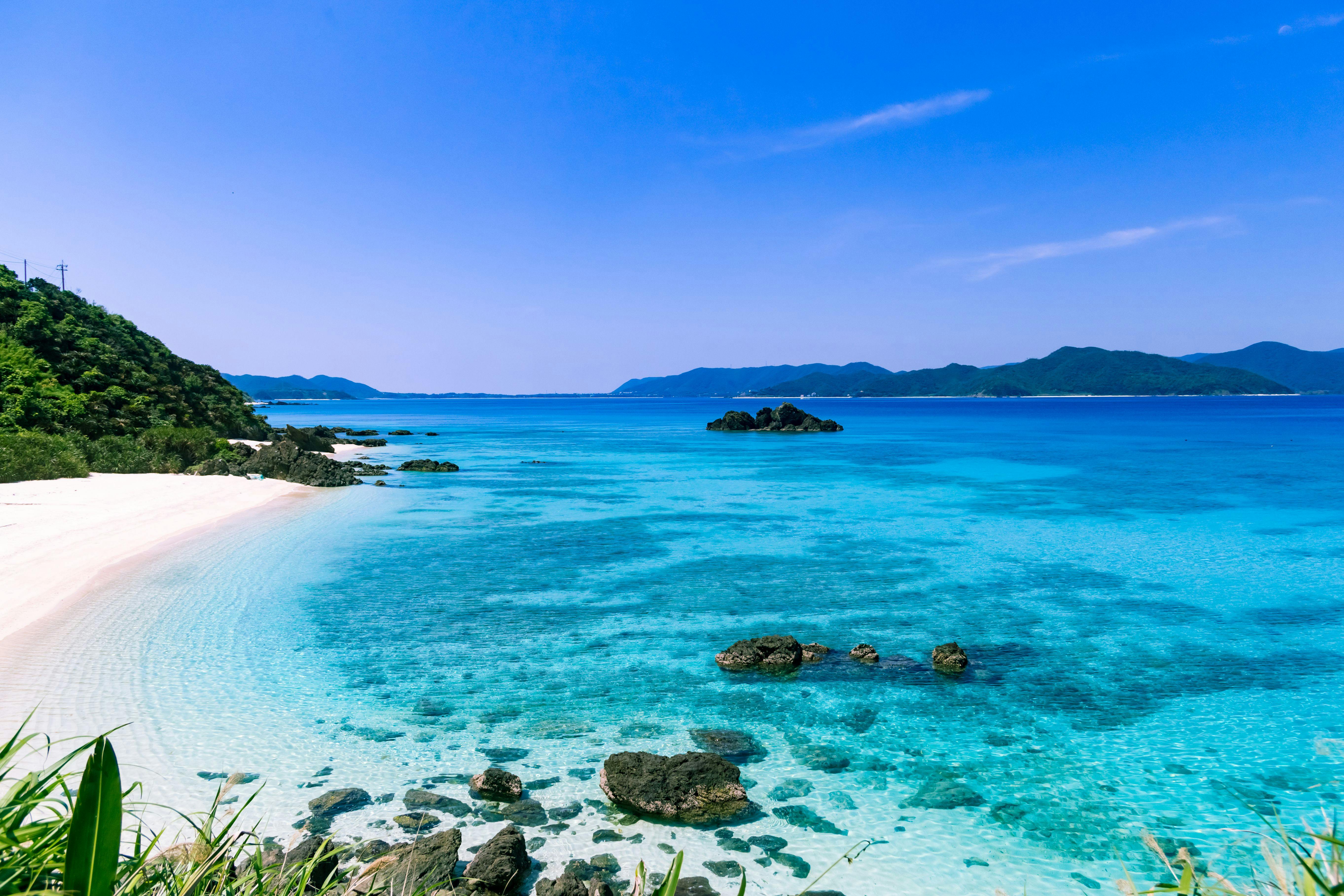 奄美とは？ - 東北奄美会 宮城・青森・秋田・岩手・山形・福島 ページ