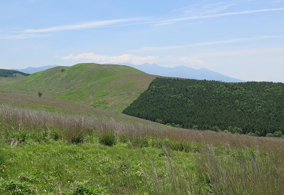 ｶﾞﾎﾞｯﾁｮ