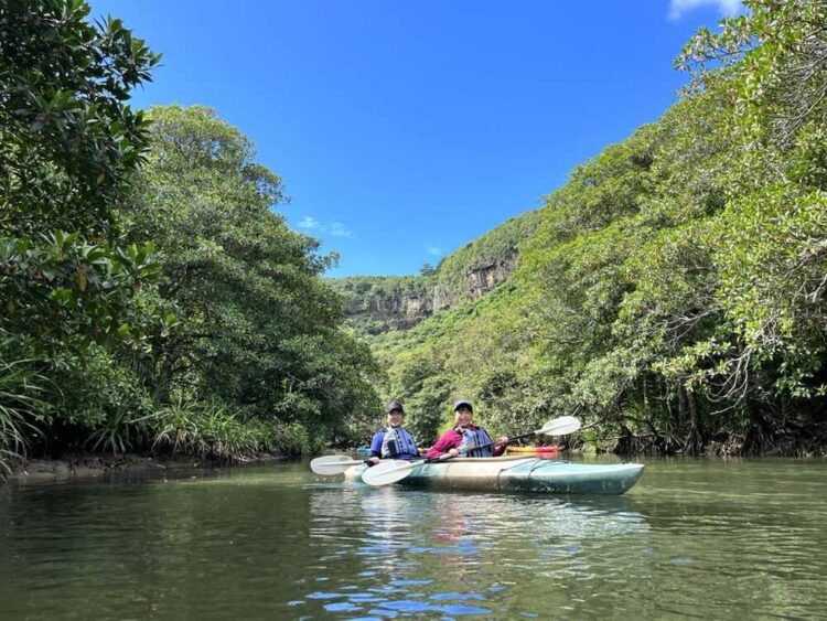 1日 西表島発3島完全制覇セット！マングローブSUP カヌー＆バラス島上陸＆由布島観光 -